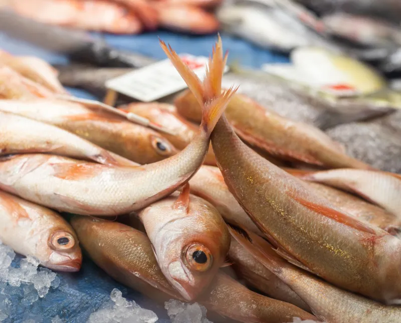 Same Restaurant, Different Sushi: The Invisible Forces Changing Every Plate